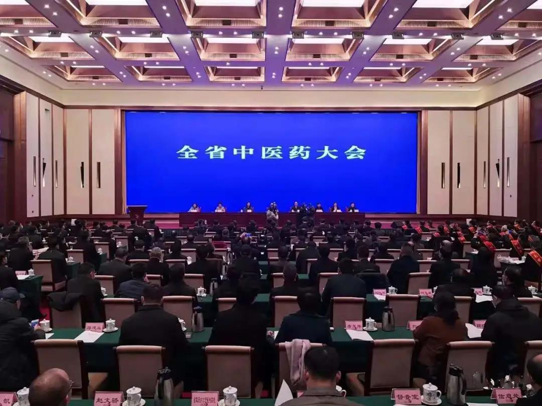 见证盛典，公司应邀参加 湖南省中医药大会